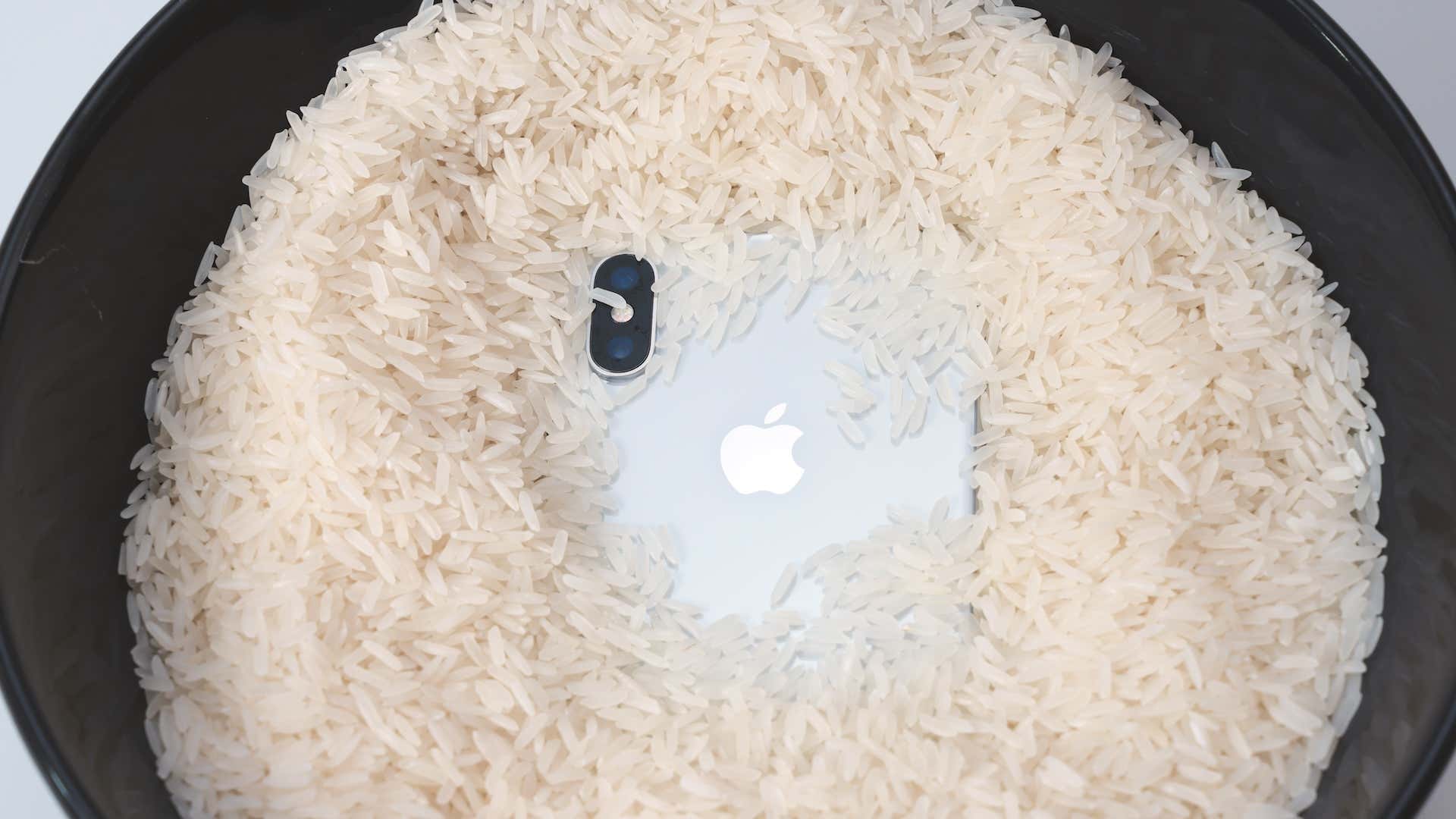 A photo of a portion of an iPhone submerged in a bowl.